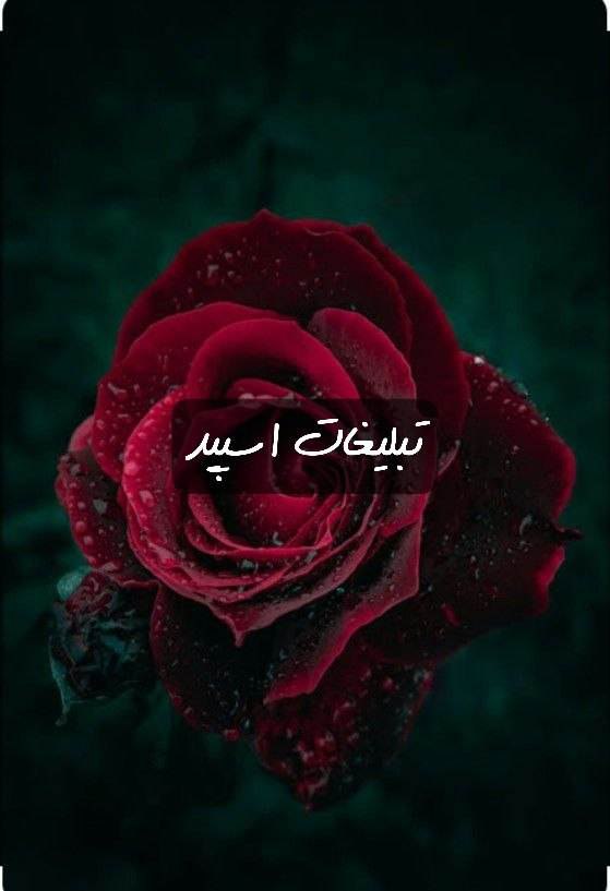 گروه تلگرام گنج رفاقت