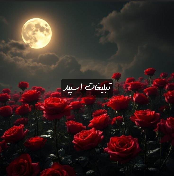 گروه تلگرام کلبه عشق و دوستی 