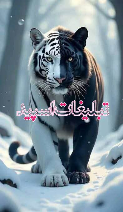 دوستان بامعرفت (26)