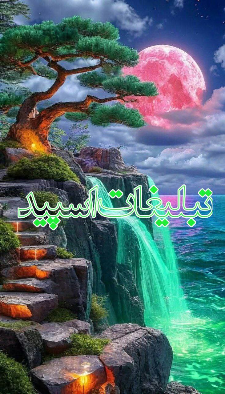 وایلد ولف (10)