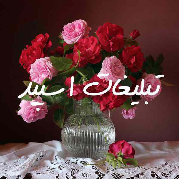 کانال روبیکای جهان سینما