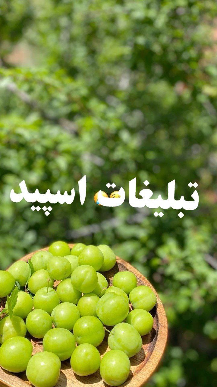 گروه چت تلگرام دوستی