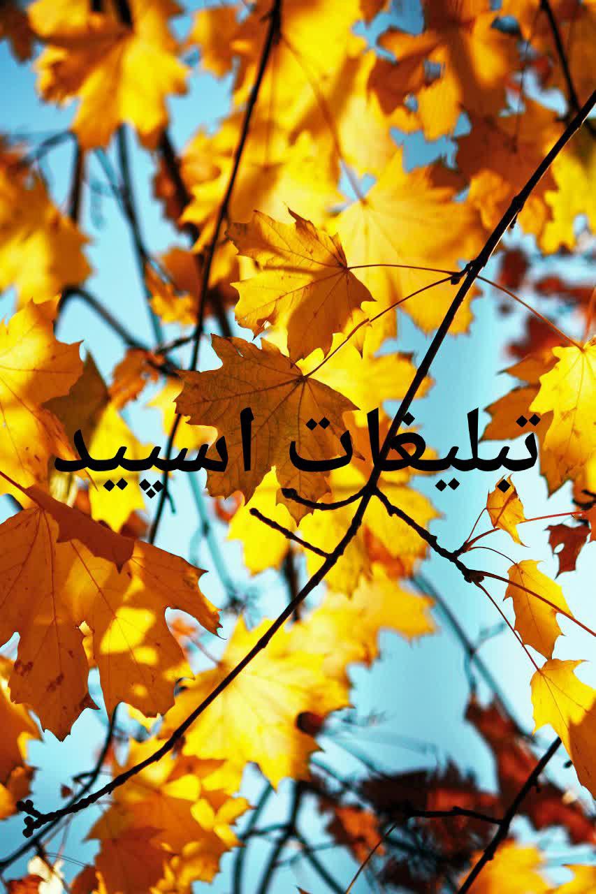 کانال سروش حدیث با چهارده معصوم