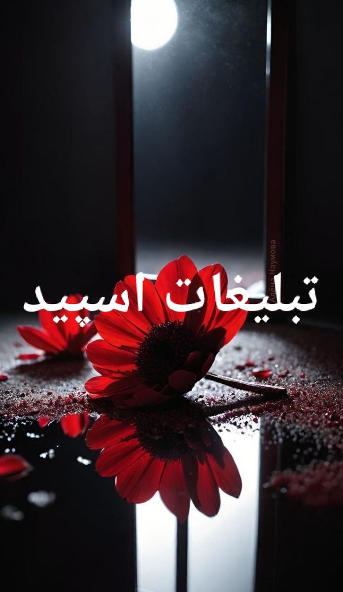 گپ تلگرام 💠༄⁷⁷⁷x᭄ᏟᏆͲᎽ💠