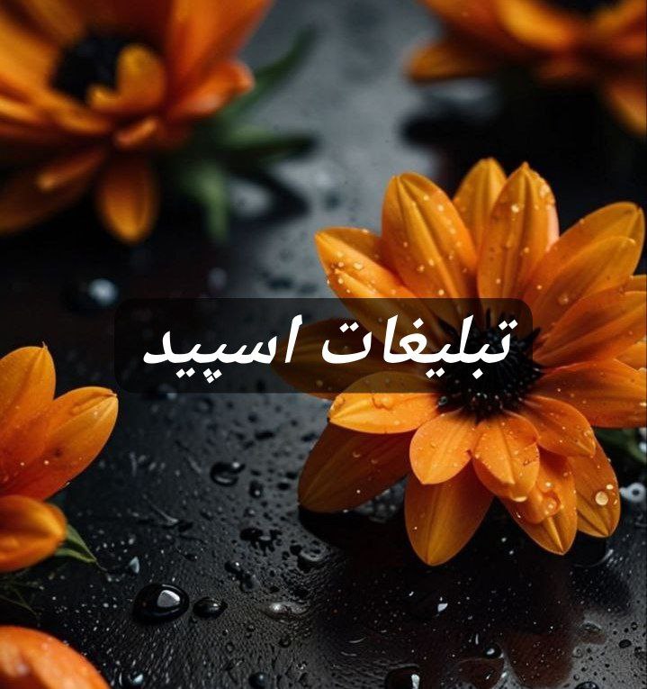 گروه تلگرام حس مبهم 