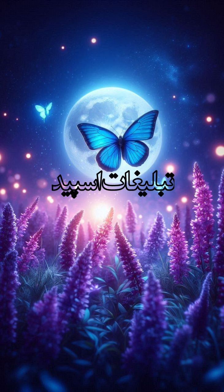 ❤️همسفر ❤️