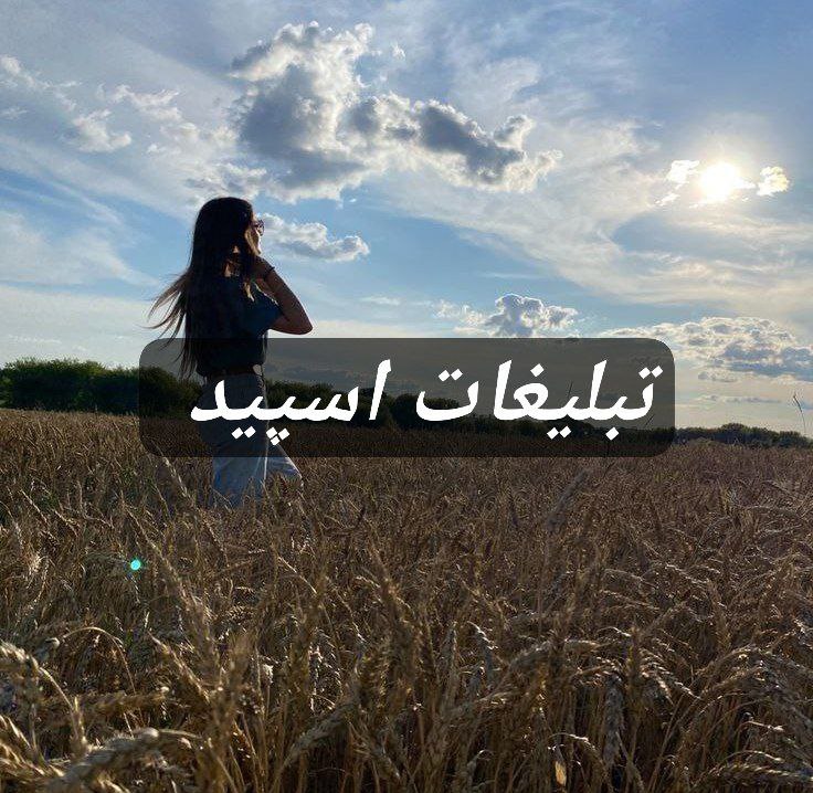گروه تلگرام Velora