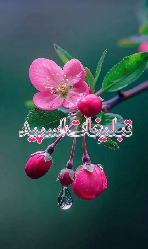 [🍇🍷]ᬉ ⃤♥️روزهاے عاشقے♥️🌙ᬉ ⃤🥂] (4)