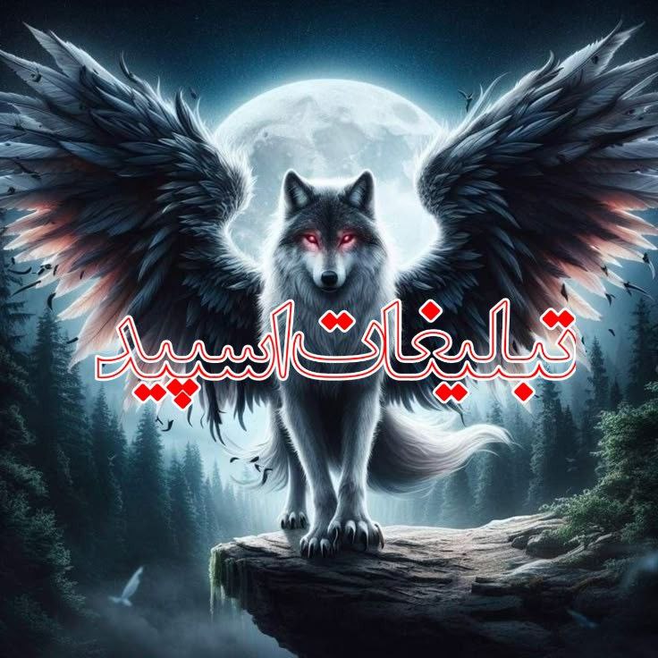 دعوت به همکاری (1)