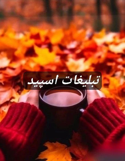گپ تلگرام دوستان با معرفت