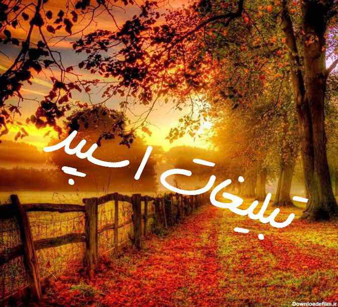 گروه چت روبیکا باکس تگزاس