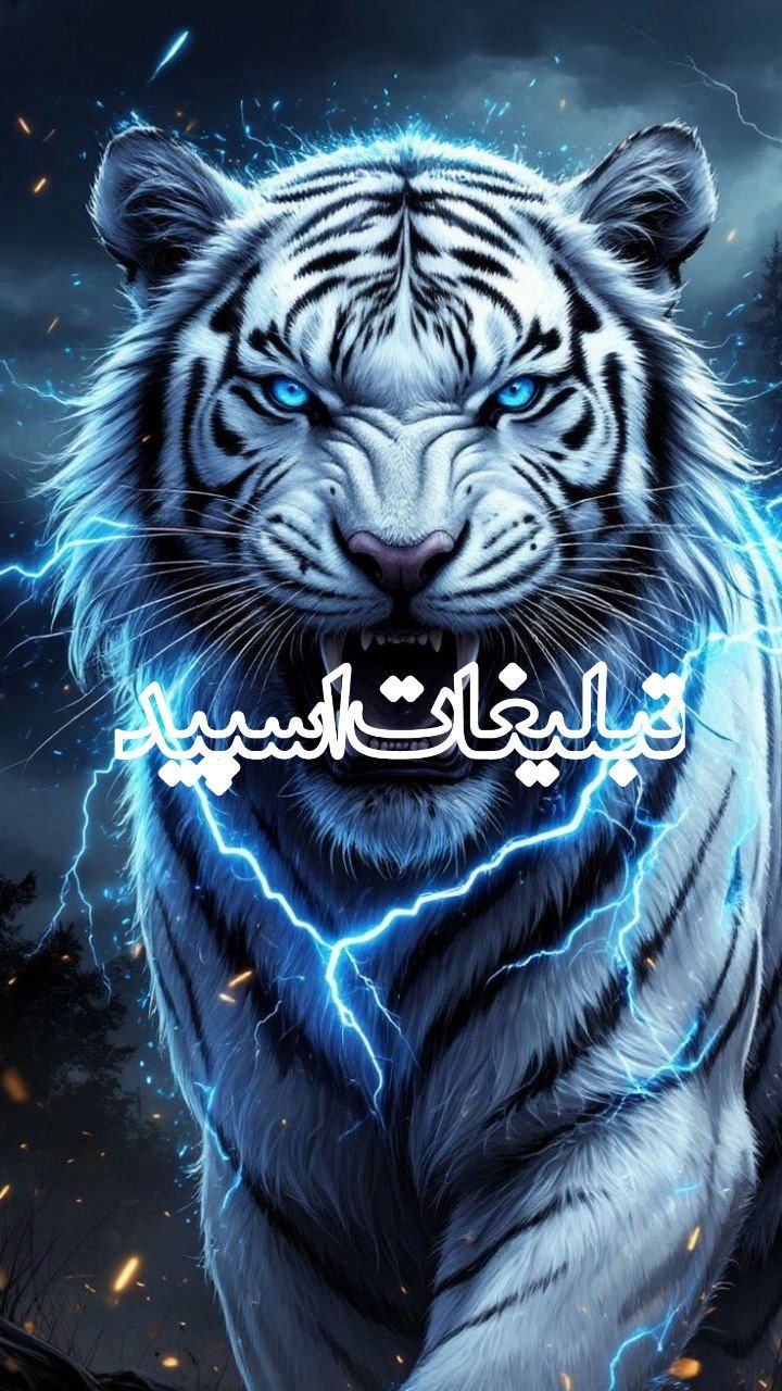 دَِوَِسَِــَِتَِـاَِنَِ بَِاَِمَِــَِرَِاَِمَِــَِ (12)