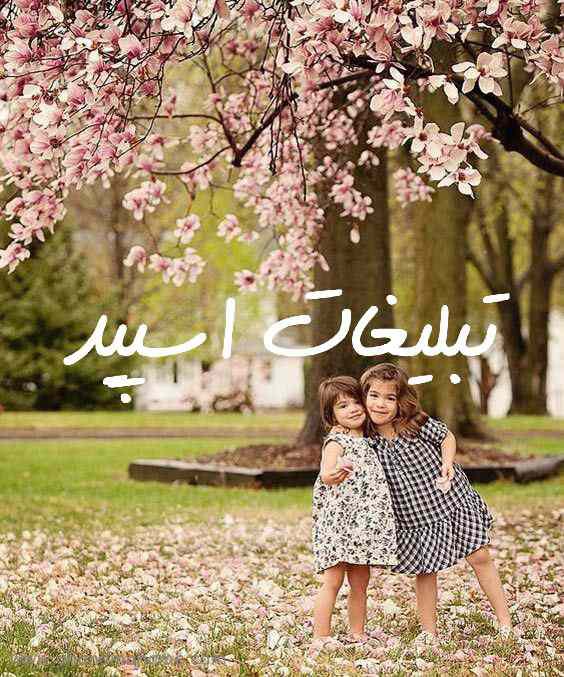 گروه چت تلگرام دورهمی ناب