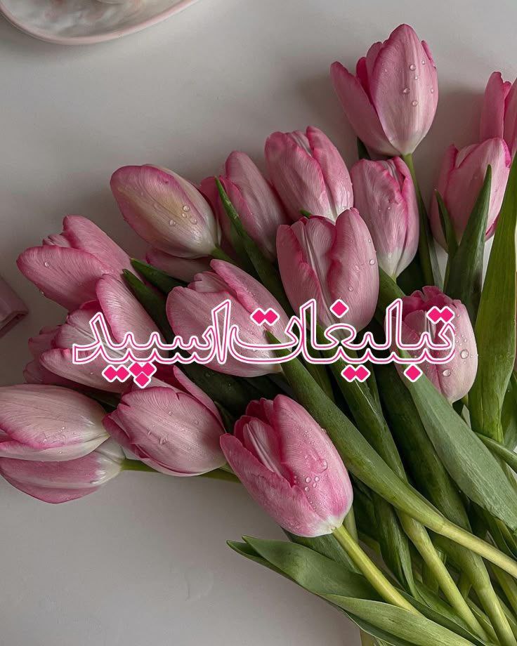 خودمونی (3)