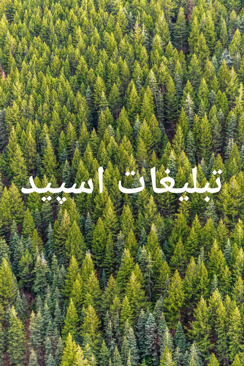 گپ تلگرام دورهمی دوستانه