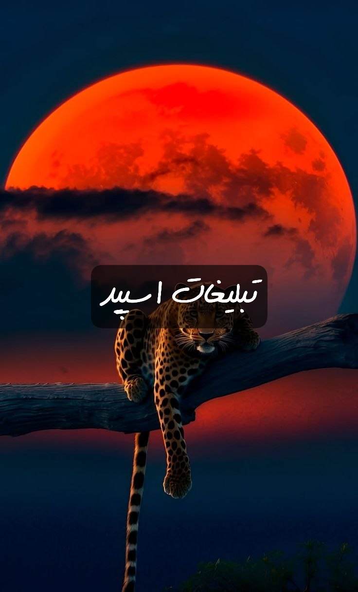 گروه تلگرام لیدوکائین کرمان