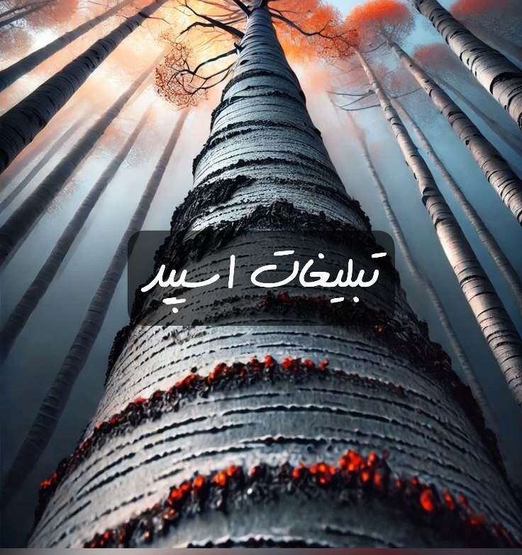 گراه تلگرام سن بالاها