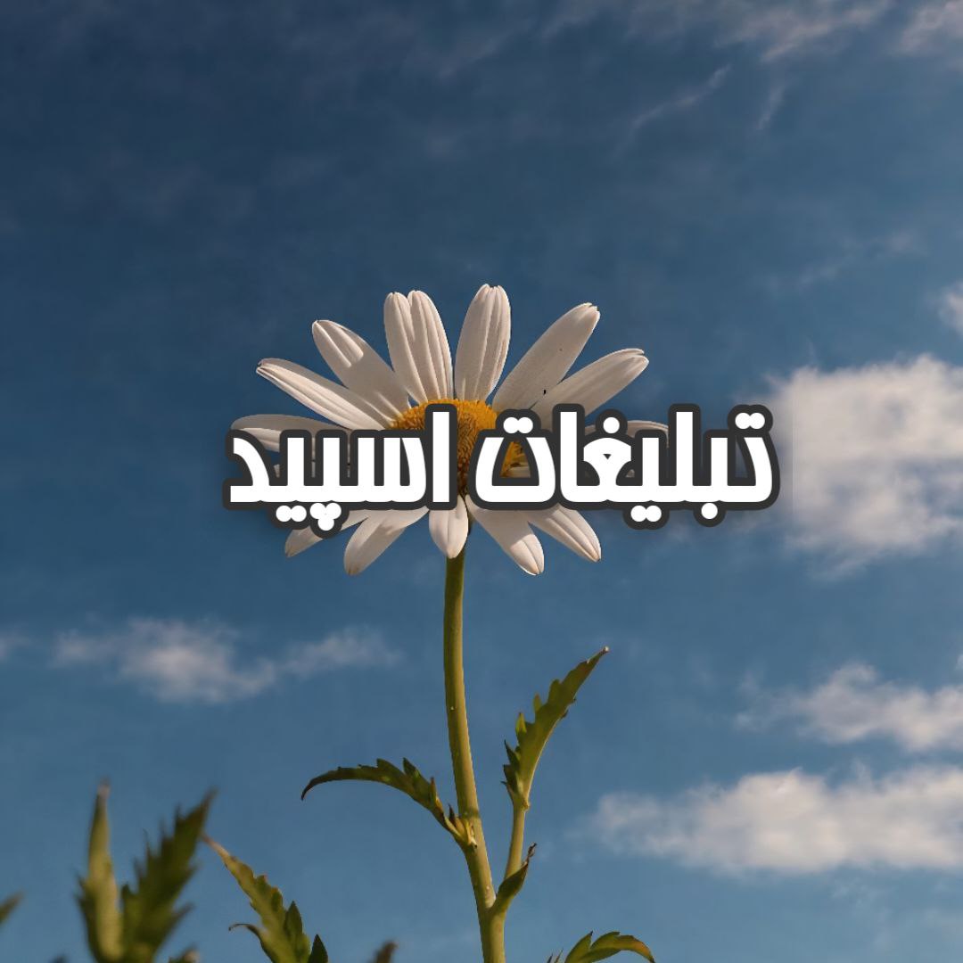 گروه تلگرام میتینگ چالوس