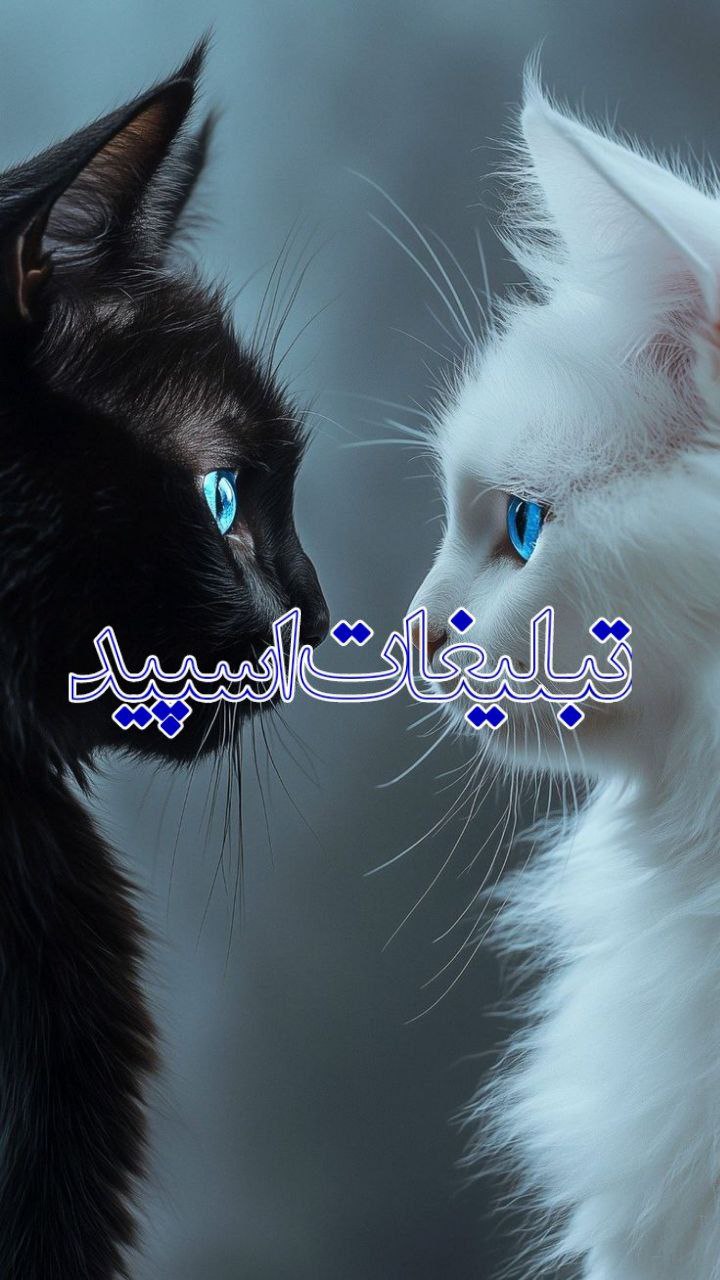 کلبه ای دنج ❤️