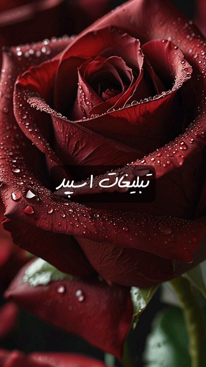 گپ تلگرام بارسلون کافه