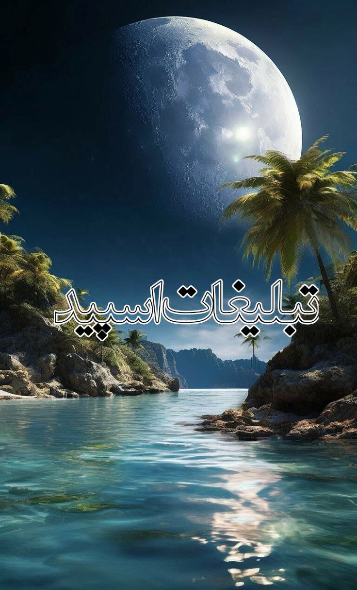 دوستان لاکچری (5)