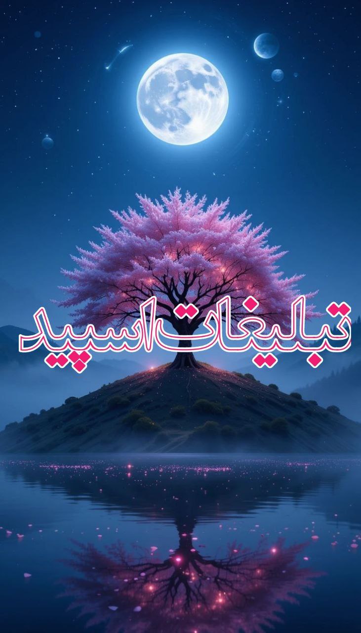 وایلد ولف (81)