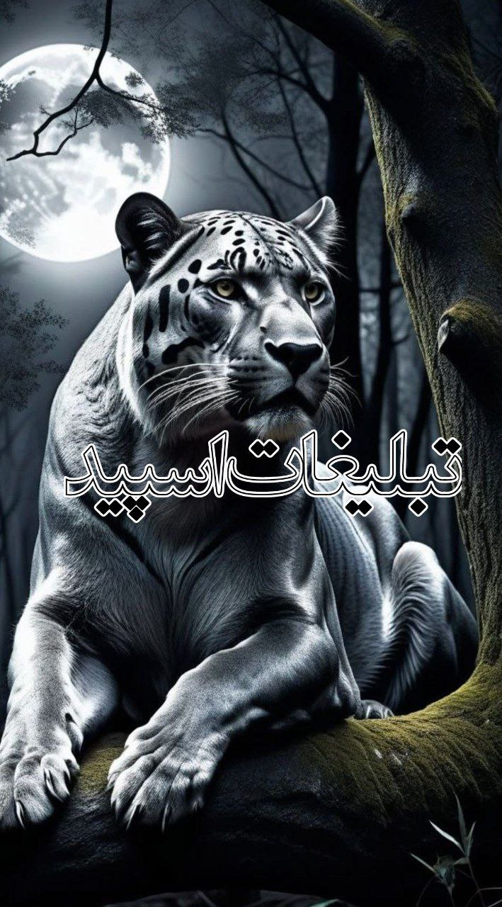 دورهمی رفقا (3)