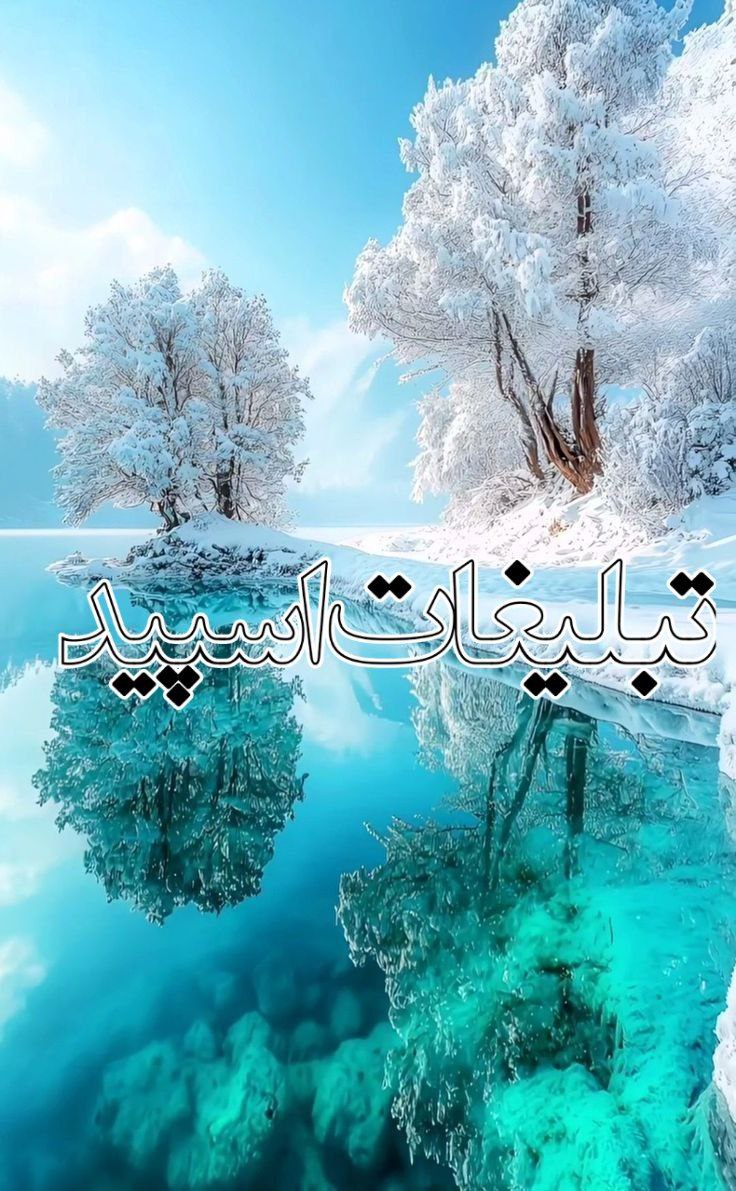 وایلد ولف (326)