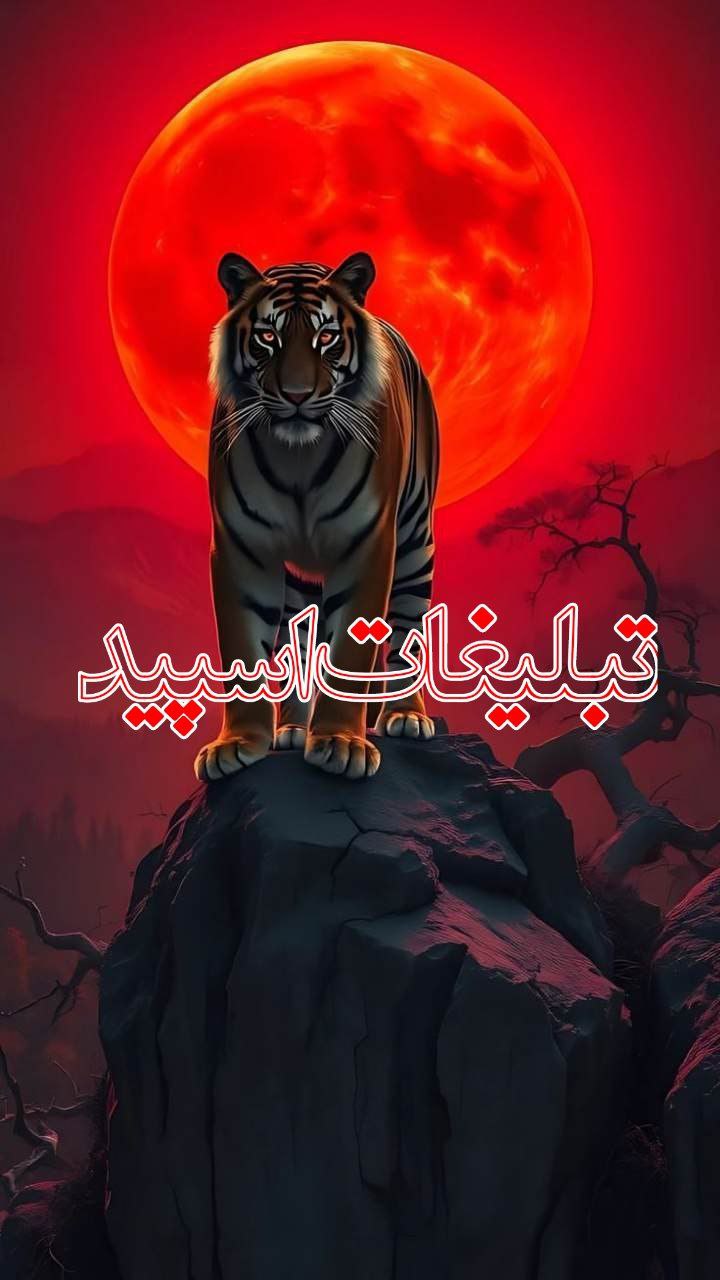 وایلد ولف (18)