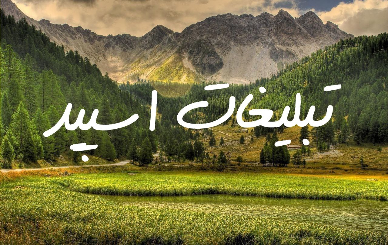 گروه چت روبیکا دیوونه خونه دهه60/50