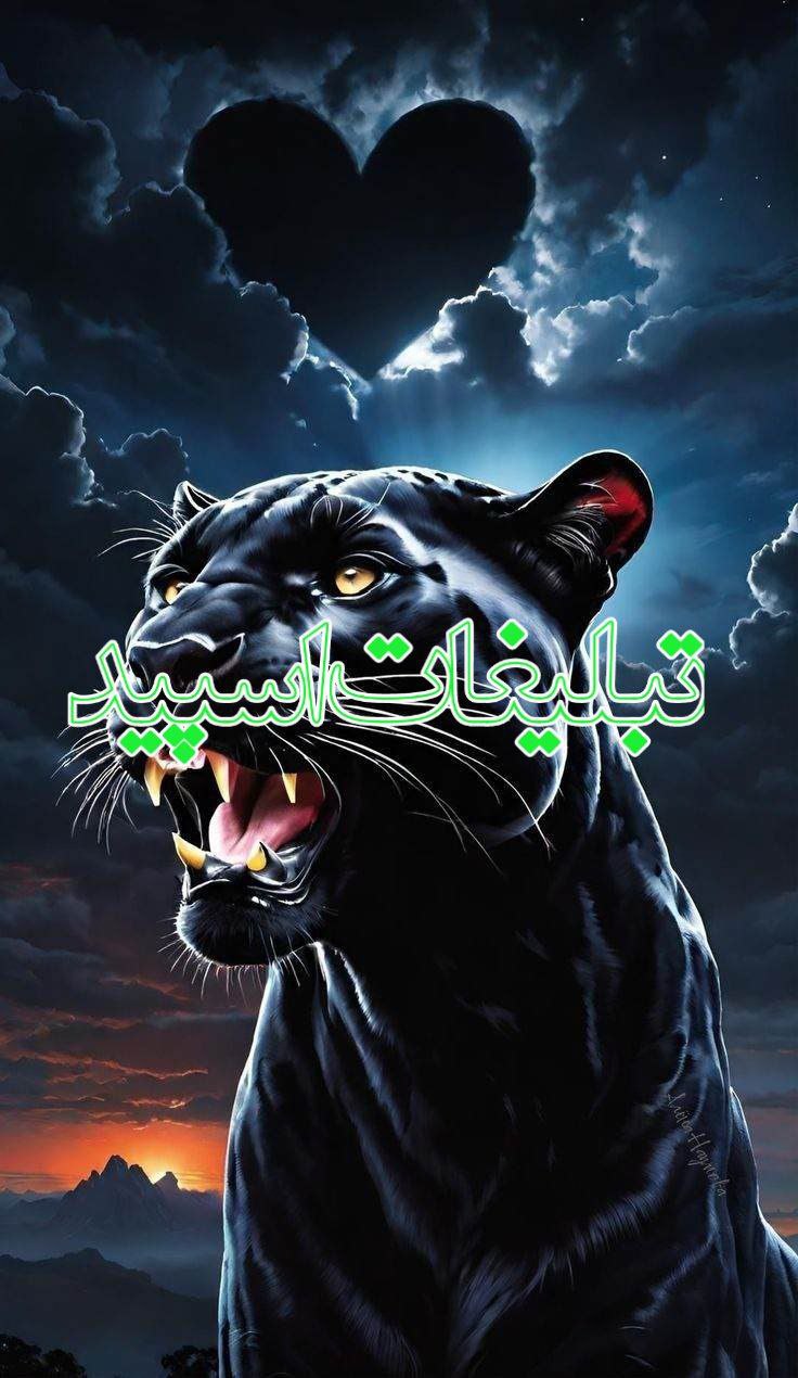 ولف لند (23)