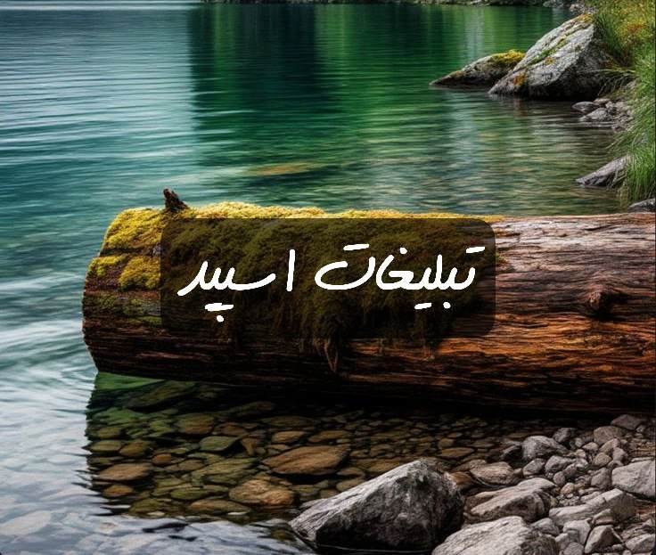 گروه تلگرام کاشان سیتی