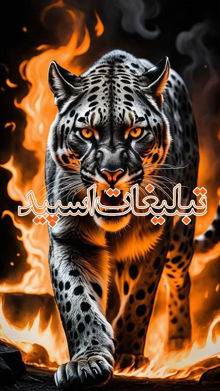 پاتوق باجنبه ها