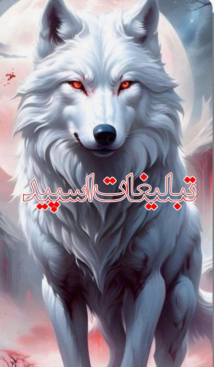 ⎯꯭᪵̽𝆺꯭𝅥𝐖𝐈𝐋𝐃𓆩᪵🜲꯭𓆪̥𝐖𝐎𝐋𝐅⎯꯭꥓᪵ͯ⟶ (129)