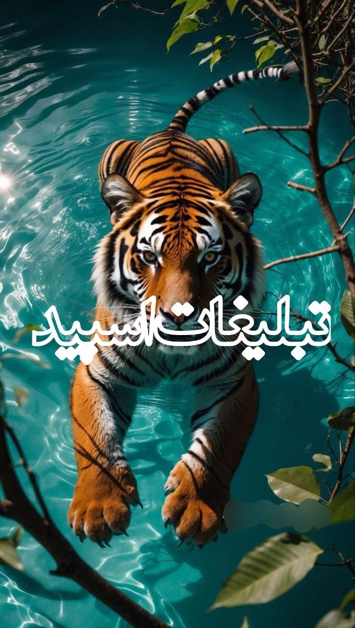 🌹⃤𓆩𝙂𝙊𝙇𝙀 گـــل҉ رؒؔز𝙍𝙊𝙕𓆪♥️⃤ 