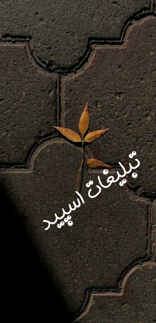 گروه چت آوای دریا