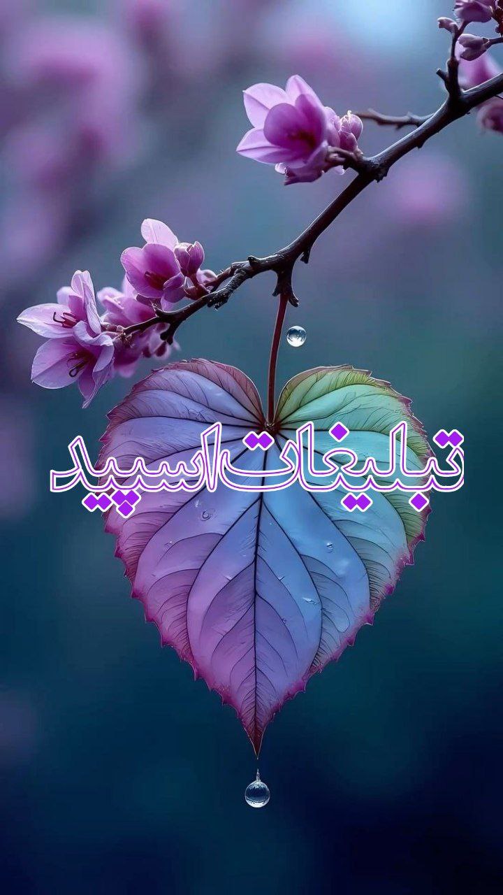 نبض💞 احساس 💞