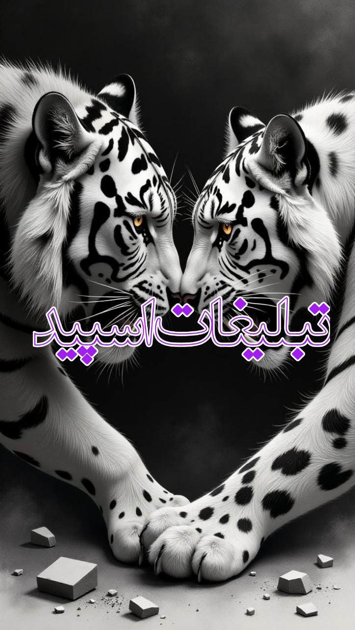 بهترینها ی مجازی