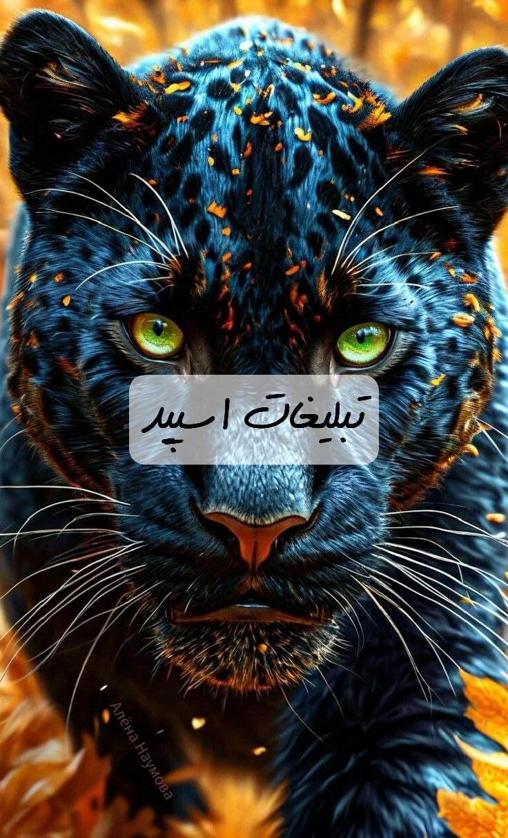 گروه تلگرام خوشگلای همیشگی