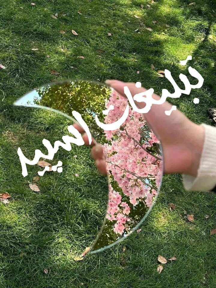 گروه چت تلگرام لاکچریای ایران