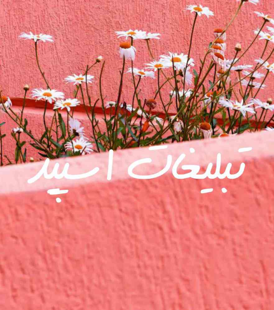گروه چت تلگرام شمال مازندران ئ گیلانیا