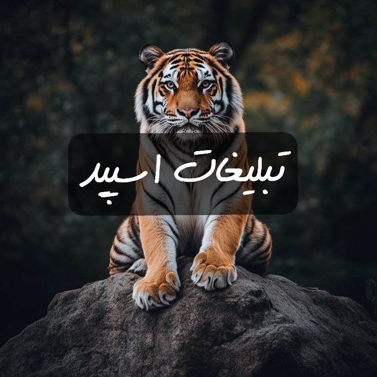 گپ تلگرام قصر سفید