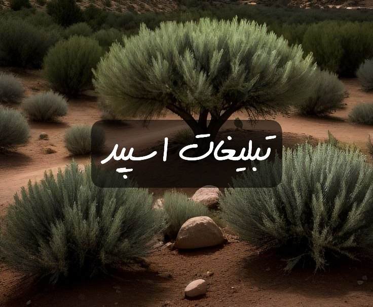 گروه تلگرام خوشگلای شهرآبادان