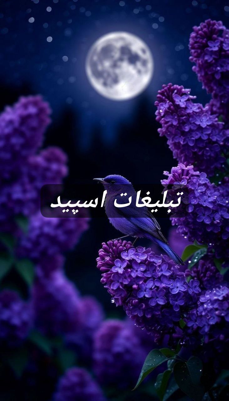 گپ تلگرام کلبه ارامش