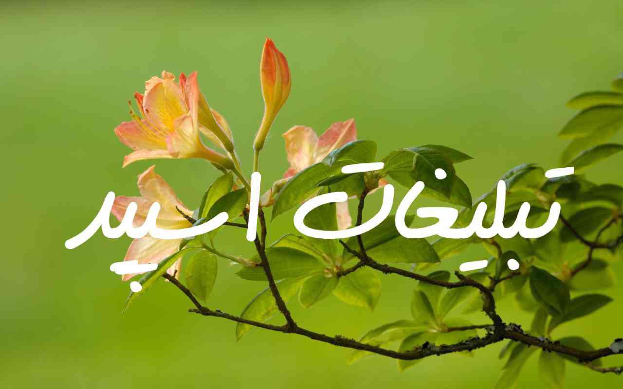 گروه چت تلگرام دوستان خوب