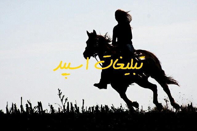 گروه تلگرام کلبه ی کاترین