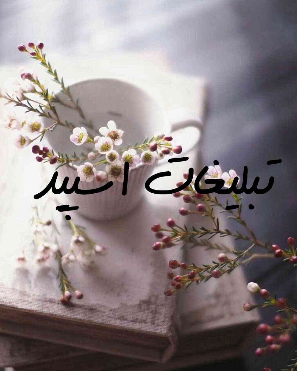 گپ تلگرام قلب یخی