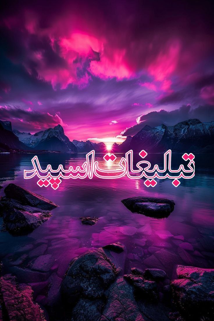 وایلد ولف (277)
