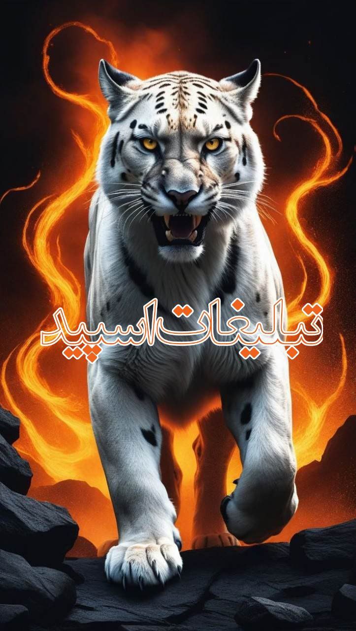 دورهمی با جنبه ها