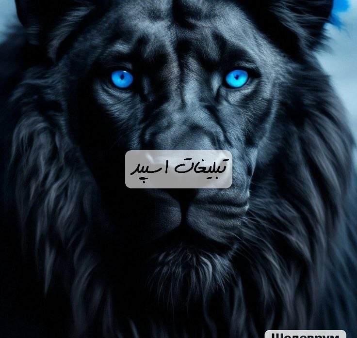 گروه تلگرام دلدادگان کرج